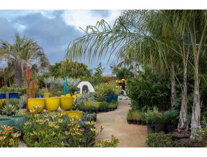 Flora Grubb Garden Gift Card