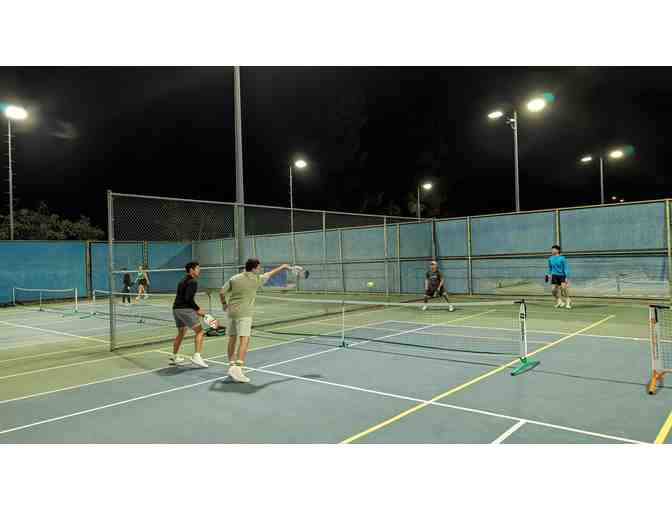 Pickleball clinic 1 hour lesson