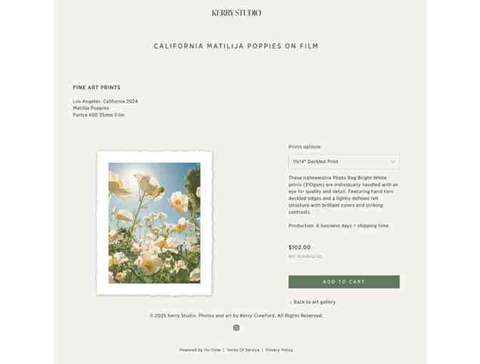 Matilija Poppies on Film