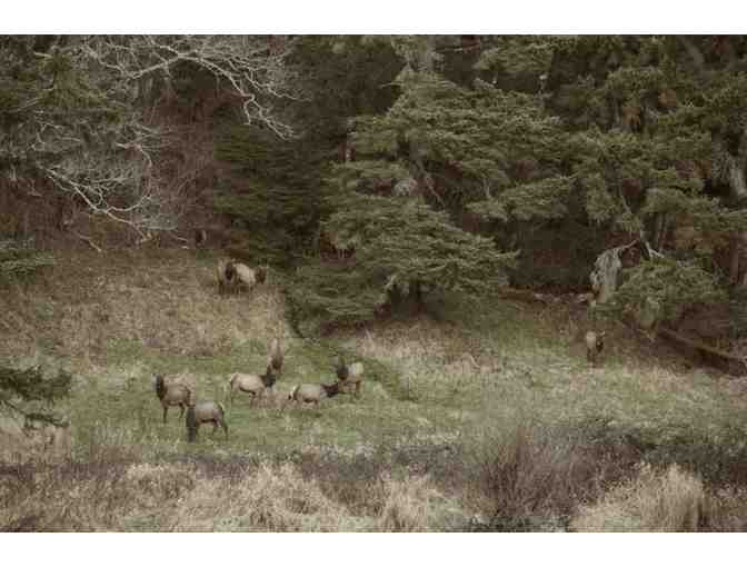 5 Night Oregon Coast Luxury Estate Home Stay