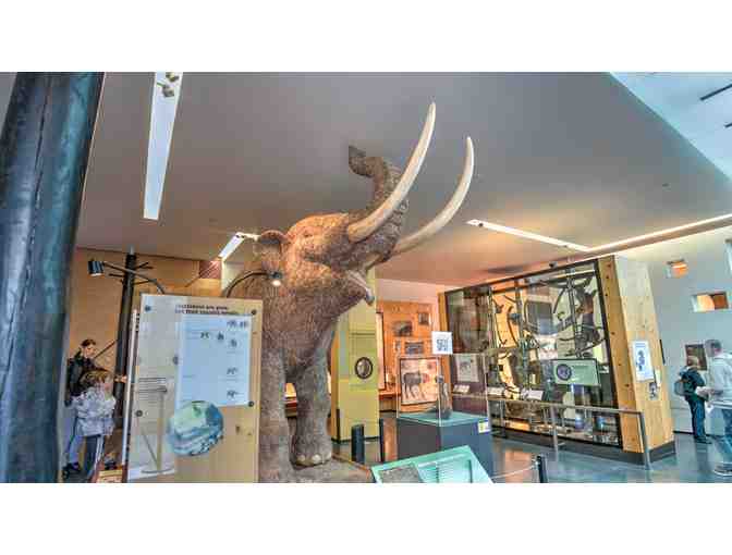 Cranbrook Institute of Science General Admission Tickets (4 count)