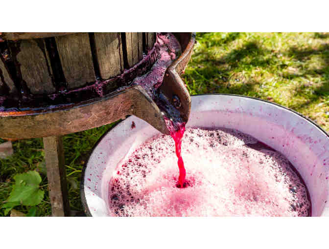 A Taste of Winemaking