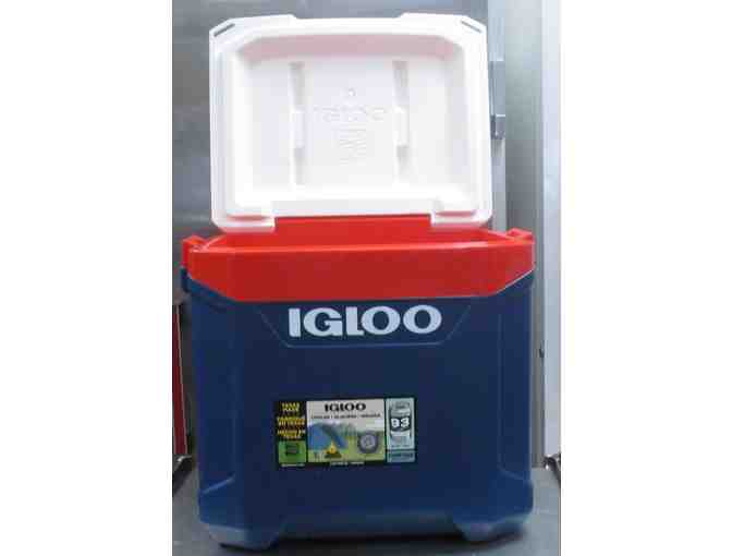 Jennie-O Turkey with Igloo Cooler (Package #1)