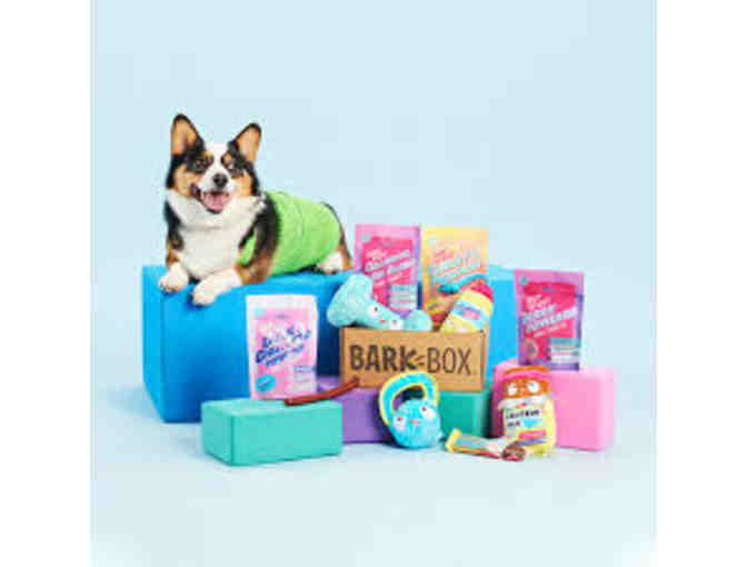 BARK BARK - 1 Month Digital Gift Certificate - Up to $45 value