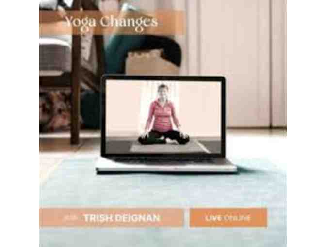 Yoga Changes - 5 Class Package Valued at $135