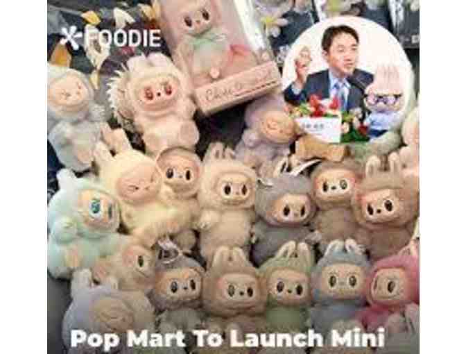 A Mini Labubu from the Monsters Exciting Macaron Vinyl Blind Box Collectible Series