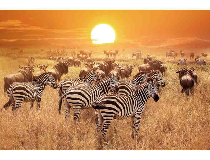 Africa Wild Wonders Photo Safari