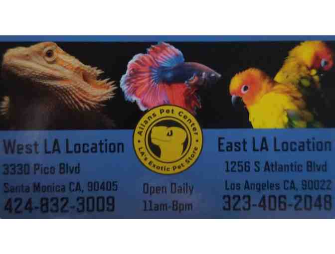 5 Gallon Aquarium with Kit