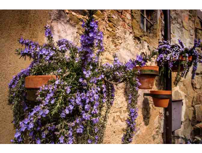 Under the Tuscan Sun: Wine Tasting, Dinner, 3 or 4-Night Stay in Cortona for 4