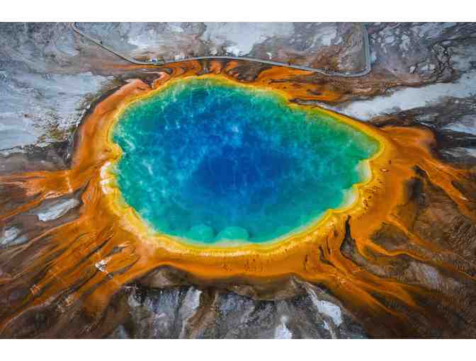 Wild Wyoming: Yellowstone National Park with 3-Night Stay for 2