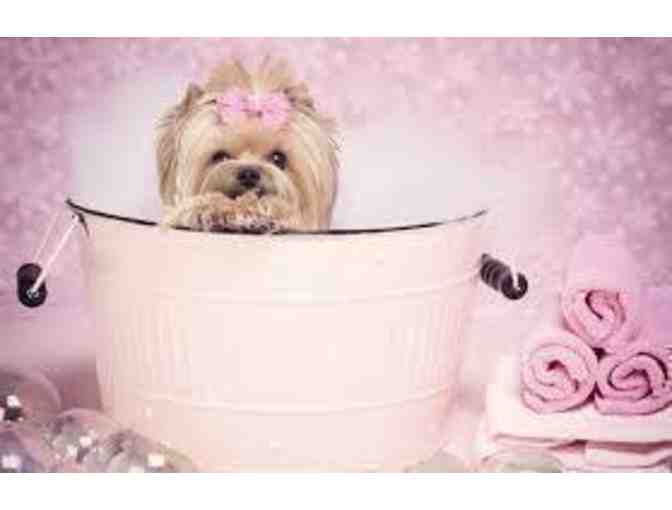 Pet Grooming by Pawrific Pet Care - $75 Gift Certificate