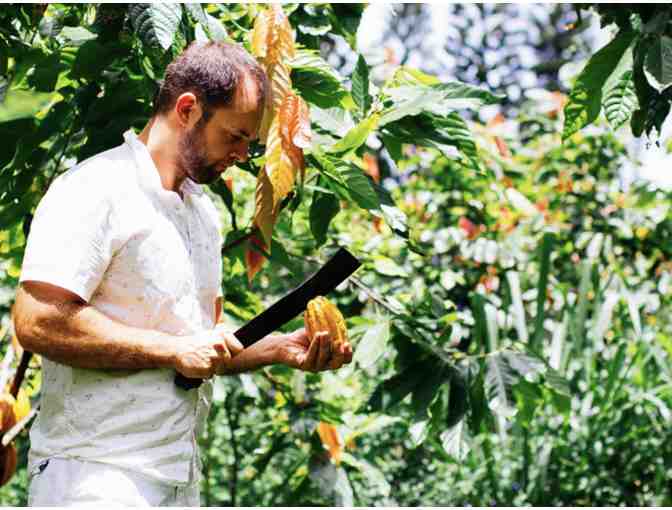 Chocolate Farm Tour for 2 Adults plus an Aloha bag of Chocolate - GC #1