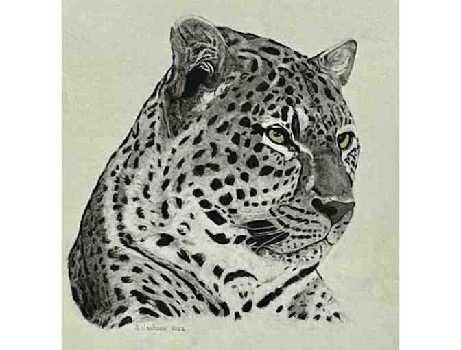 "African Leopord" Original Pencil and Charcoal by Steve Jackson, Kauai - Photo 3