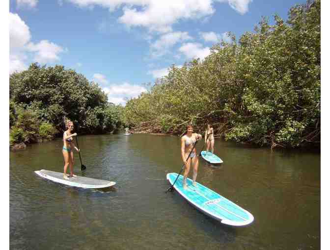 Hanalei Surf School Paddle Boarding for 4