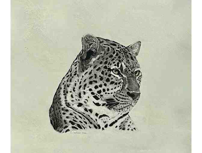 "African Leopord" Original Pencil and Charcoal by Steve Jackson, Kauai - Photo 1