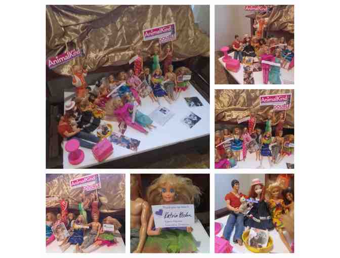 Barbie Doll Collection