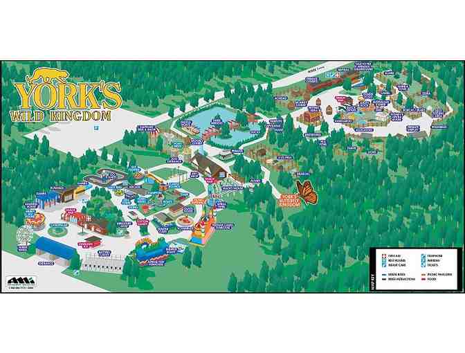 2 TIckets to York's Animal Kingdom - Photo 2