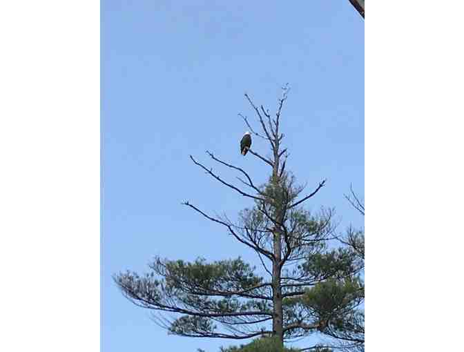 Live Free or Die (Camping in New Hampshire)