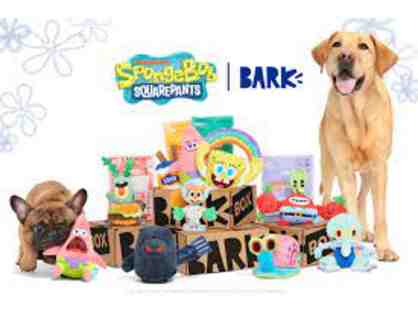 Bark Box Super Chewer Box!