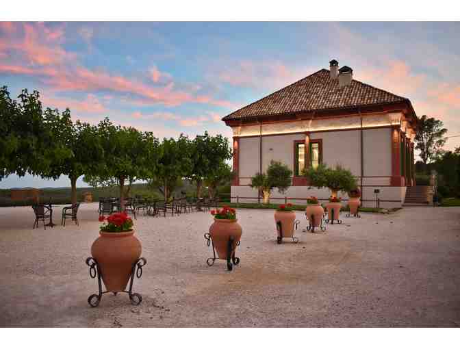 FOUR-Night Exclusive Boutique Winery Getaway to Spain!