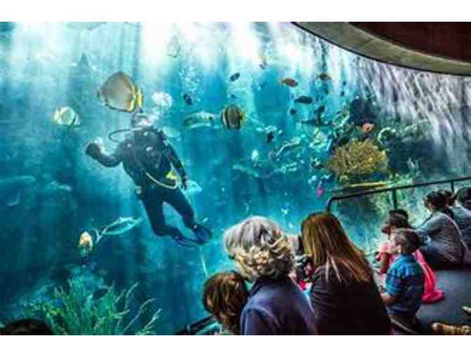 Aquarium of the Pacific