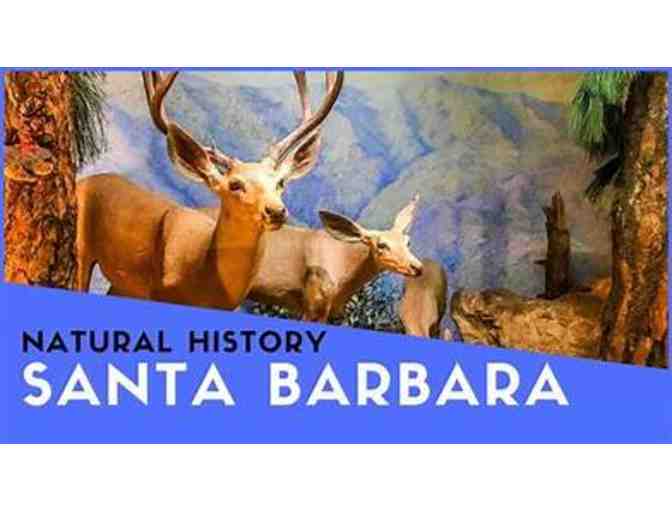 Santa Barbara Museum of Natural History