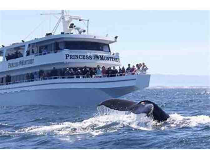 Monterey Bay Whale Watch