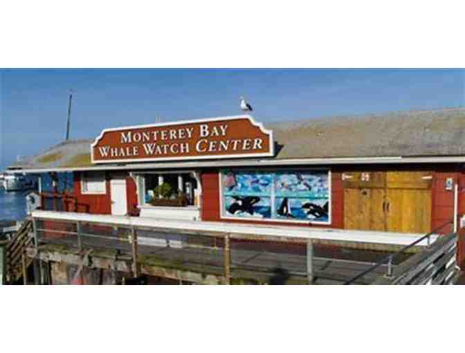 Monterey Bay Whale Watch