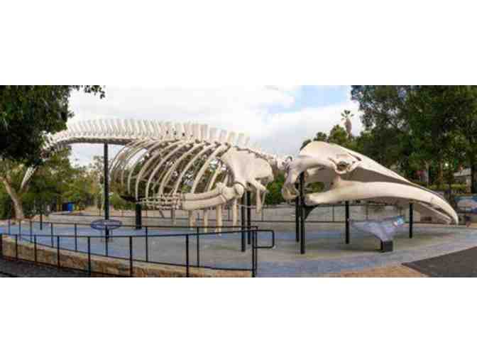 Santa Barbara Museum of Natural History