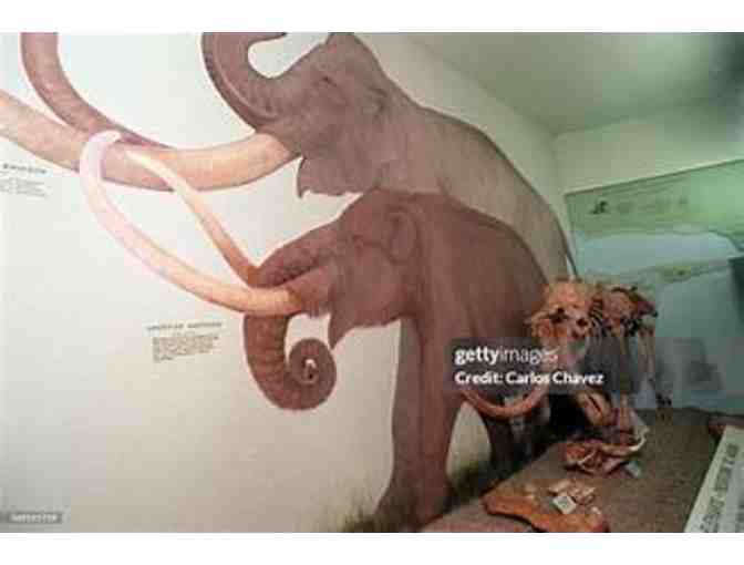 Santa Barbara Museum of Natural History