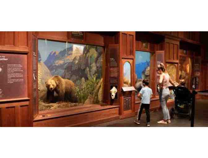Santa Barbara Museum of Natural History