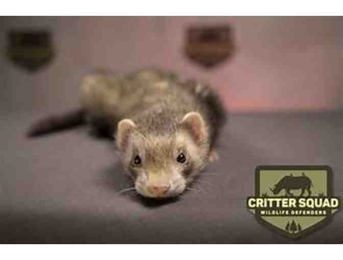 Critter Squad Wildlife Defenders