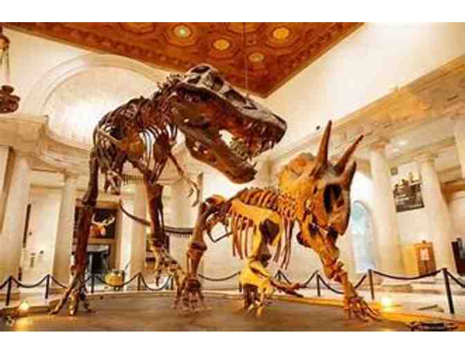 Natural History Museum