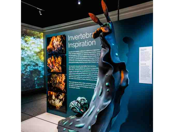 Mystic Seaport Museum