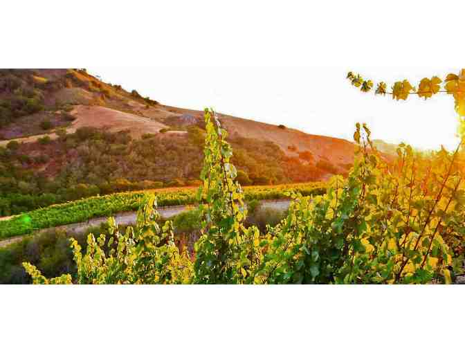 Wine Tastings for Four at Cutruzzola Vineyards - Photo 1