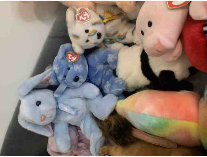 Beanie Buddy Collection - Rare Find