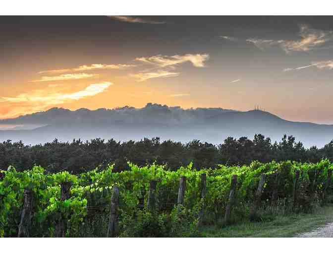 6-Night Vacation to Florence and Cortona! - Photo 4