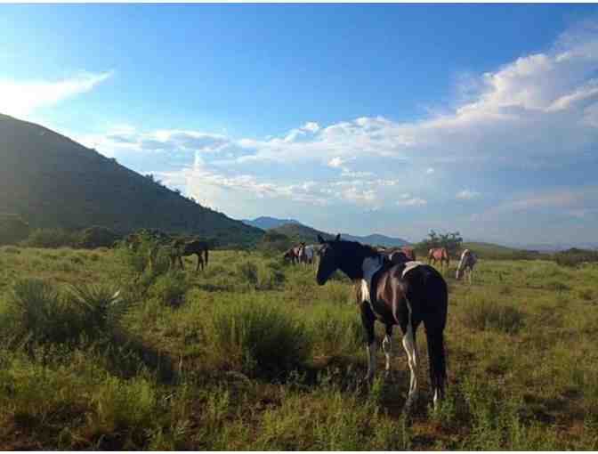 All-Inclusive Ranch Getaway in Benson, AZ!