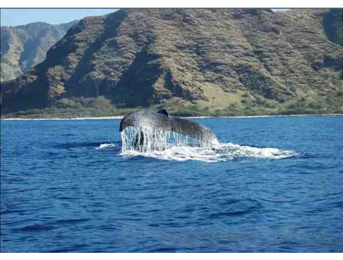 10 nights HAWAII Direct Oceanview 3 bed Home w/ BEACH TOYS 1800sq+ MORE! - Photo 10