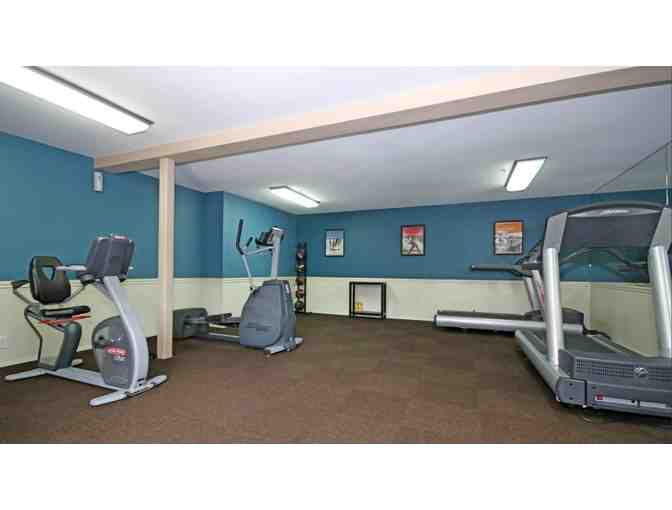 Sea World San Diego Trainer for Day + 5 night Experience - Photo 7