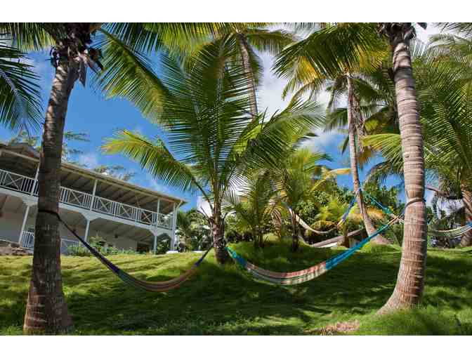 7-Night Stay at Eco Lifestyle Lodge in Barbados - Photo 1