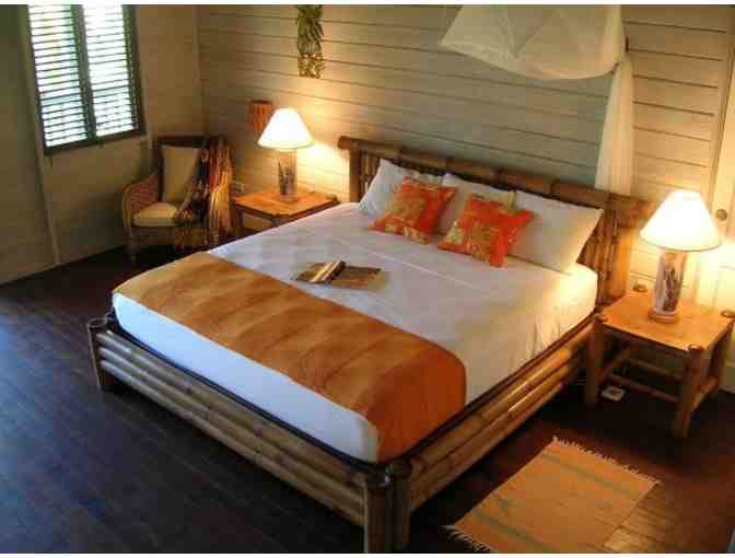 7-Night Stay at Eco Lifestyle Lodge in Barbados - Photo 5