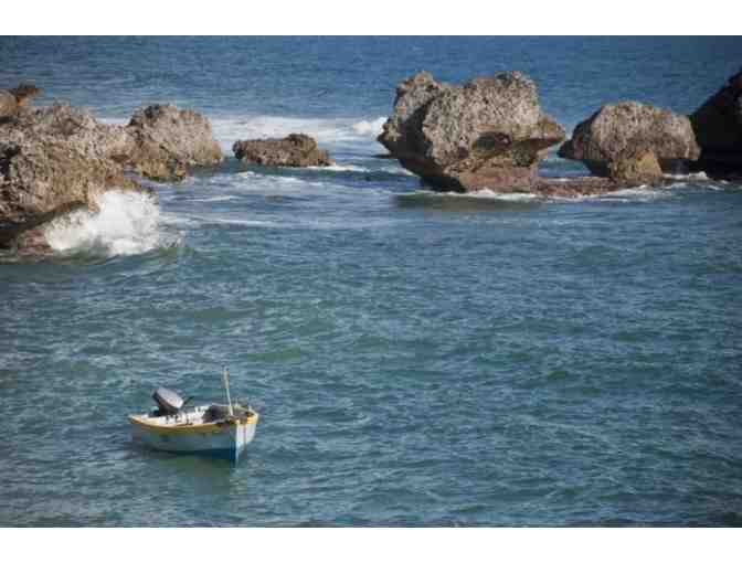 7-Night Stay at Eco Lifestyle Lodge in Barbados - Photo 7