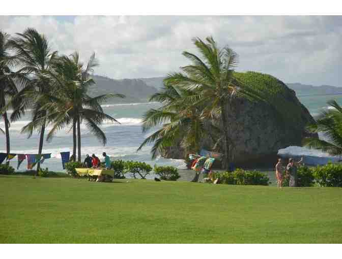 7-Night Stay at Eco Lifestyle Lodge in Barbados - Photo 8