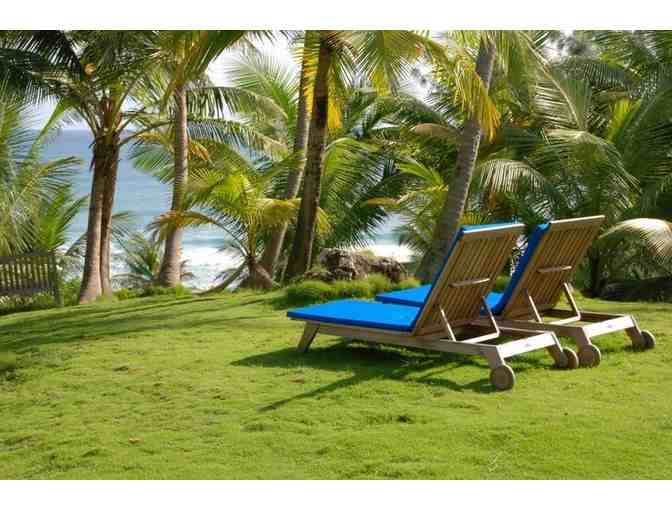 7-Night Stay at Eco Lifestyle Lodge in Barbados - Photo 9