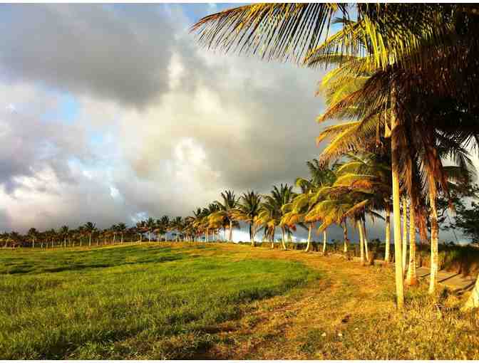 7-Night Stay at Eco Lifestyle Lodge in Barbados - Photo 11
