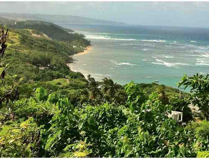 7-Night Stay at Eco Lifestyle Lodge in Barbados - Photo 12