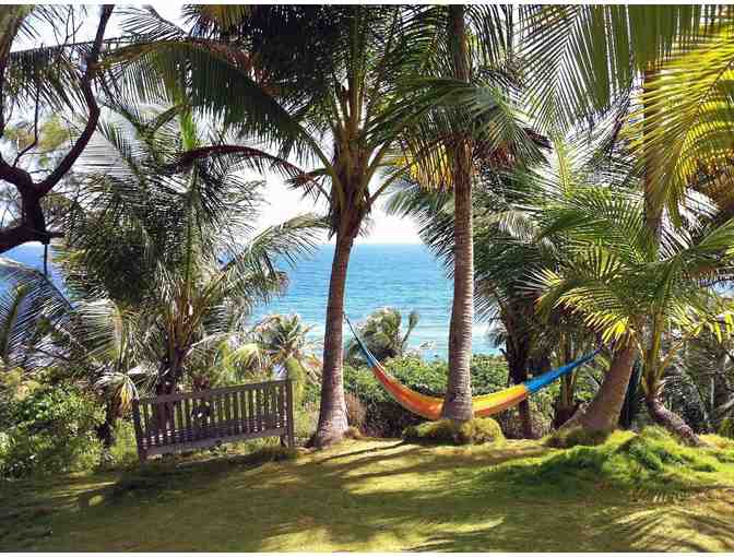 7-Night Stay at Eco Lifestyle Lodge in Barbados - Photo 13