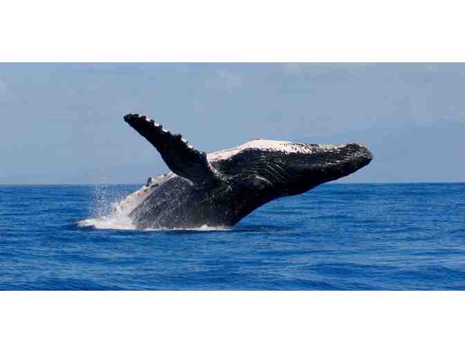 4-Night Stay at Carmel Valley Lodge with Round of Golf in CA - Photo 7