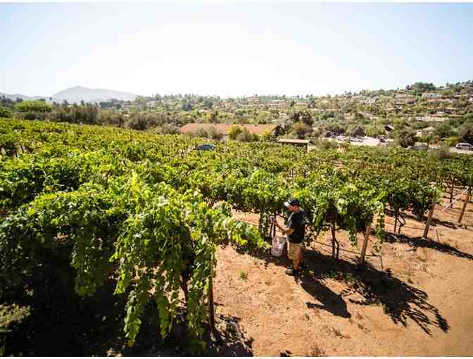5 night San Diego Wine Tasting Getaway - Photo 2